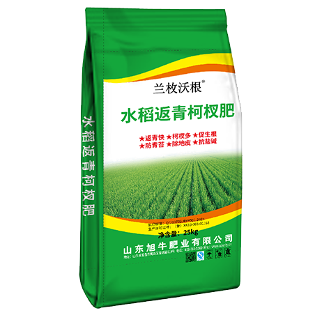 水稻返青柯杈肥